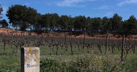 Imatge il·lustrativa