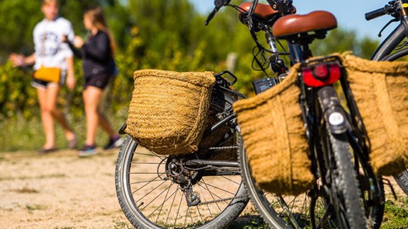 Imatge il·lustrativa