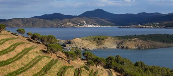 Imatge il·lustrativa