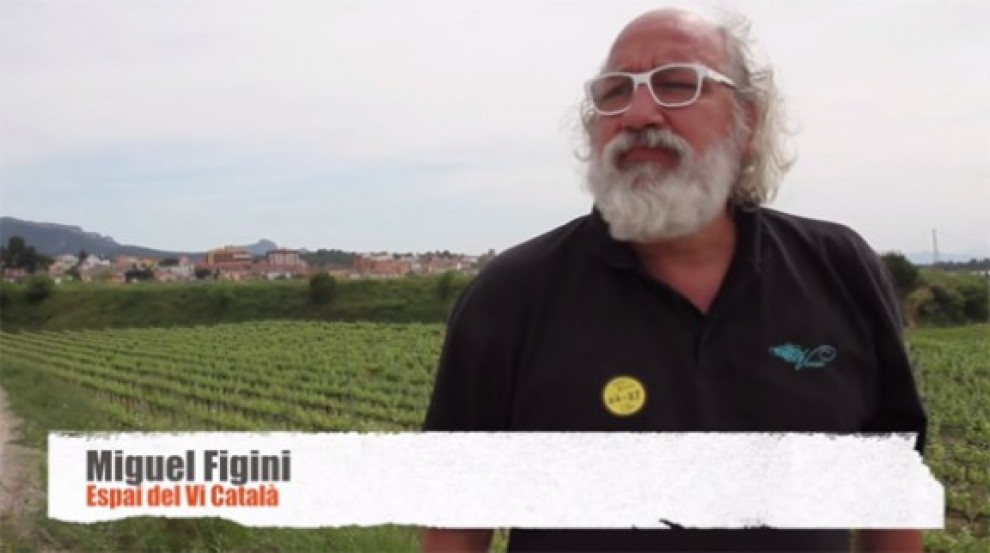 Imatge il·lustrativa