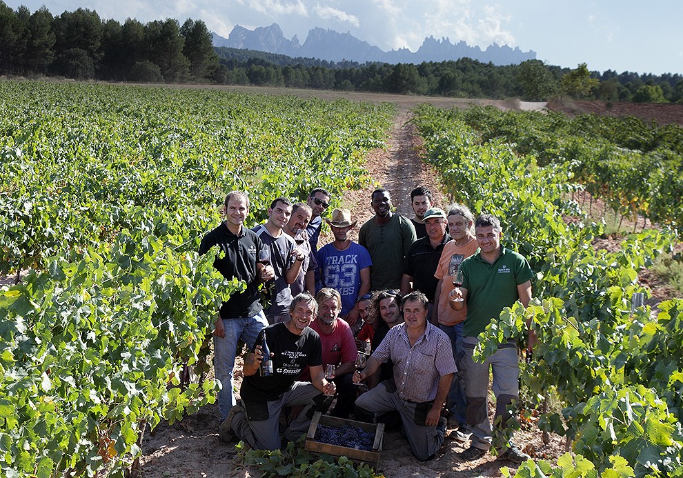 Oller del Mas, millor experiència enoturística