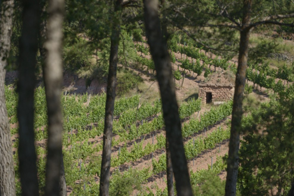 Imatge il·lustrativa