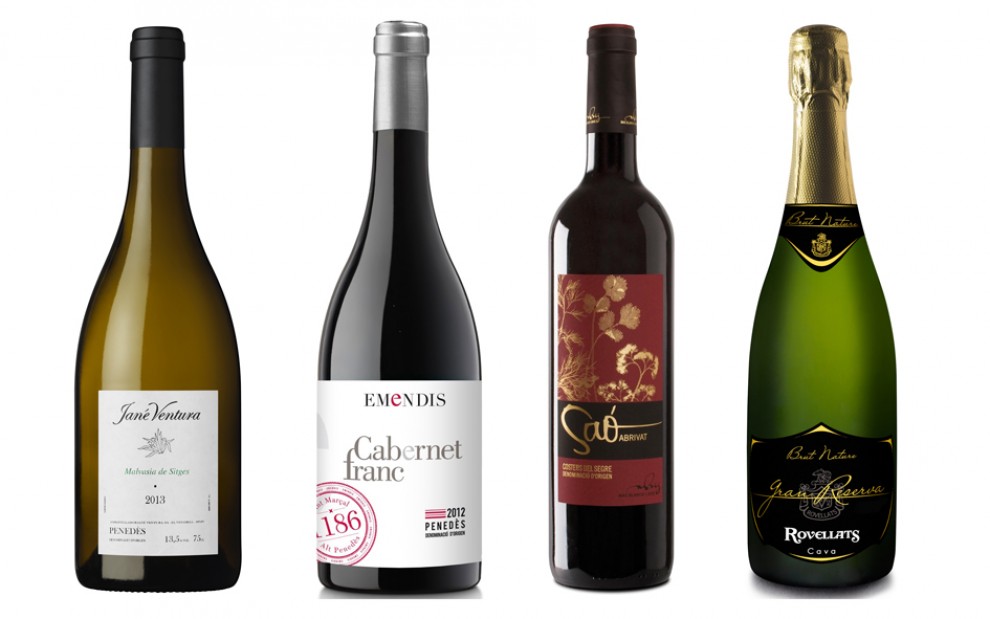 Imatge il·lustrativa