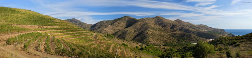 Imatge il·lustrativa