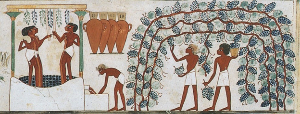 Imatge il·lustrativa