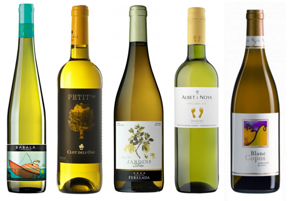 Imatge il·lustrativa