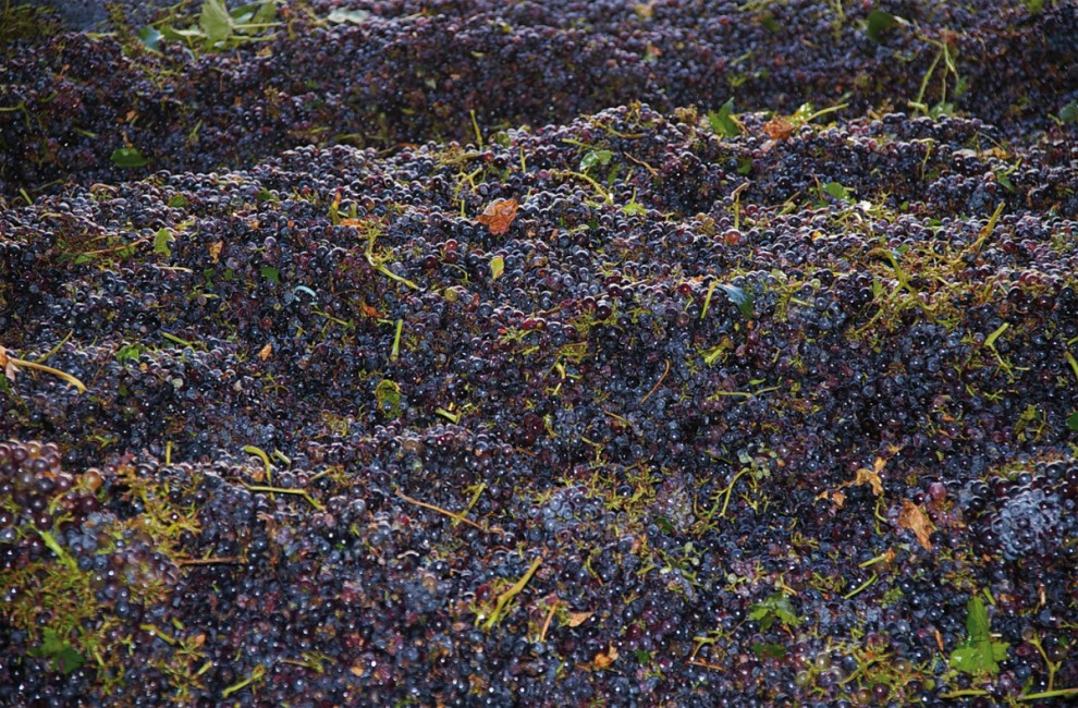 Imatge il·lustrativa