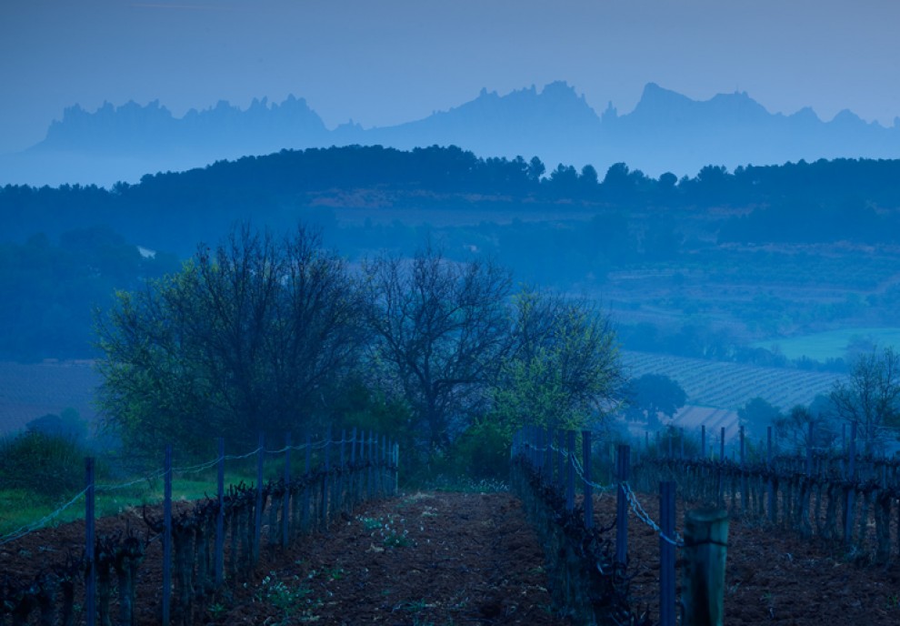 Imatge il·lustrativa