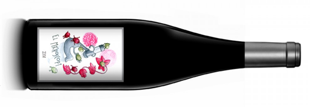 Imatge il·lustrativa