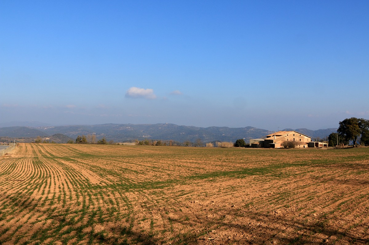 La sequera es comença a notar al camp català