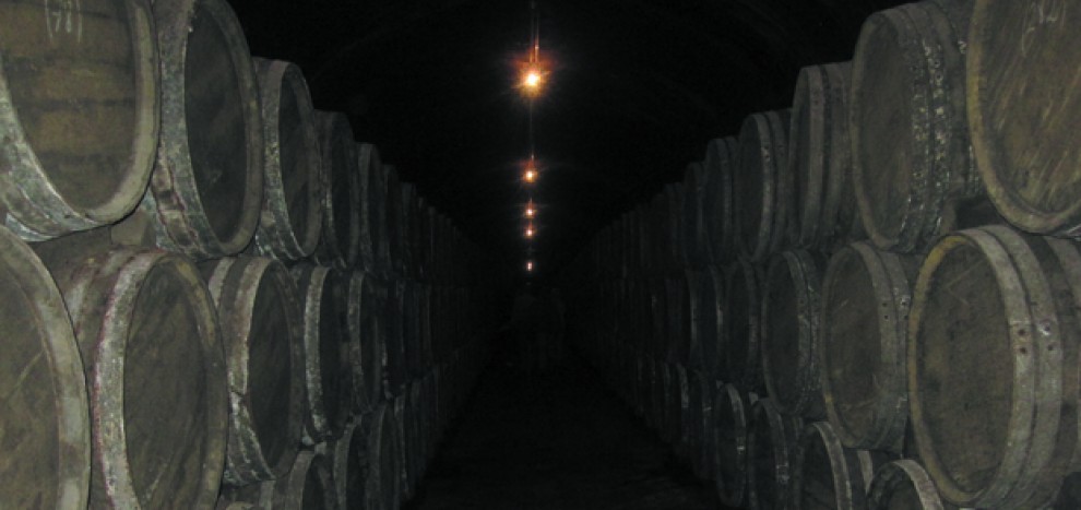 Imatge il·lustrativa