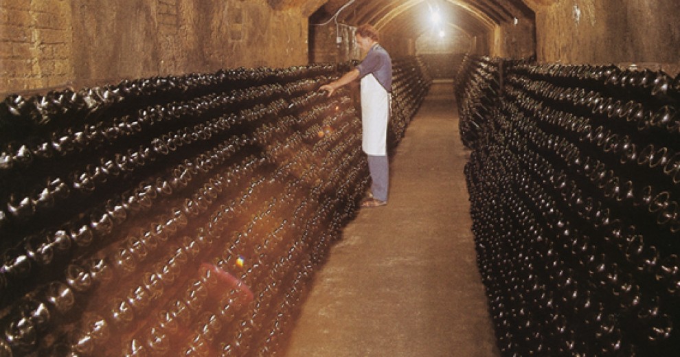 Imatge il·lustrativa