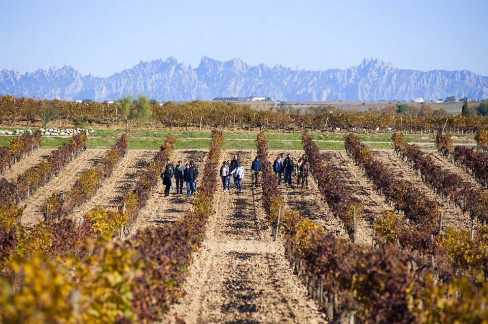 Imatge il·lustrativa