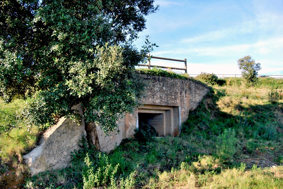 Imatge il·lustrativa