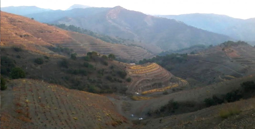 Imatge il·lustrativa