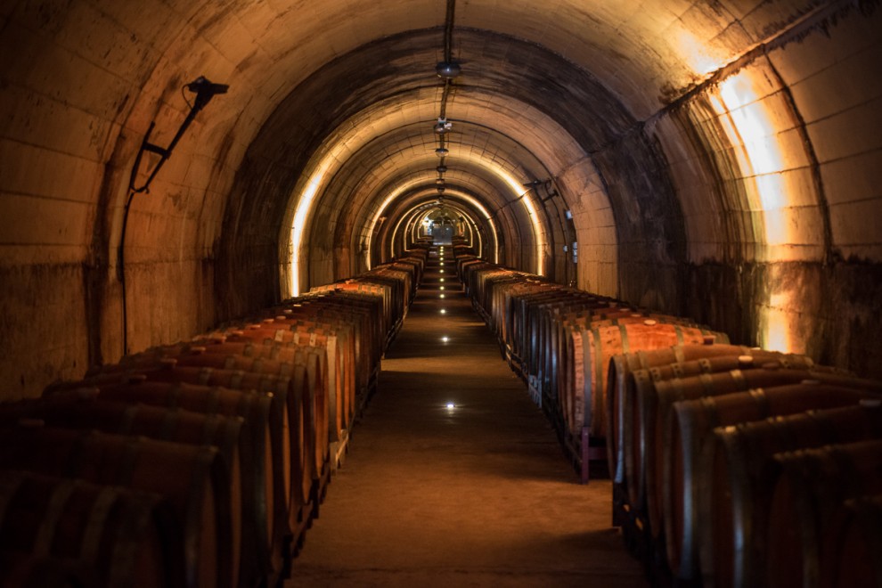 Imatge il·lustrativa