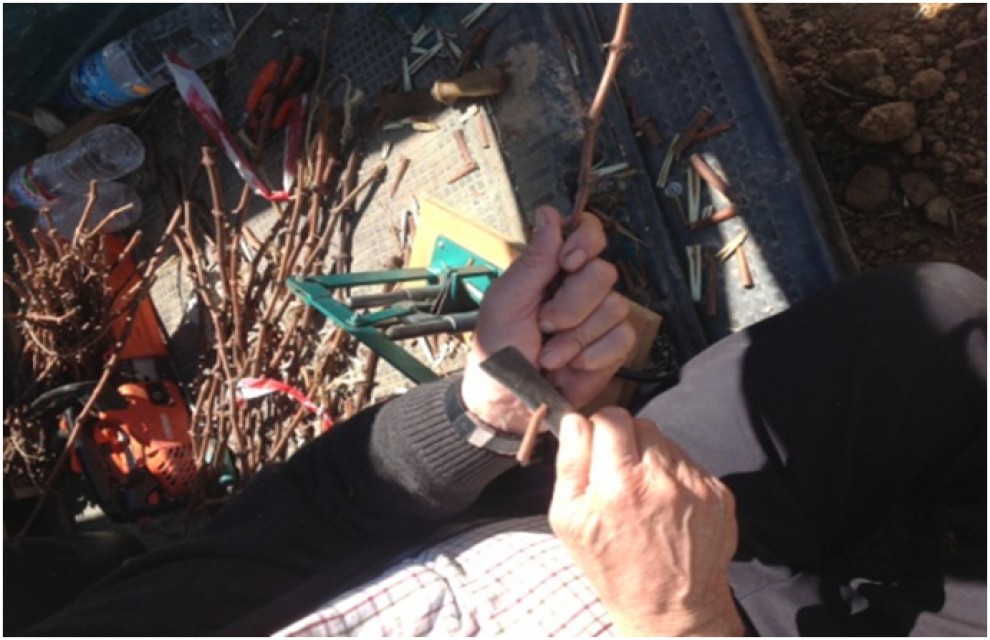 Imatge il·lustrativa