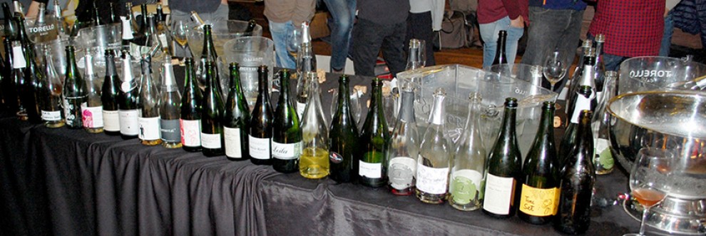 Imatge il·lustrativa