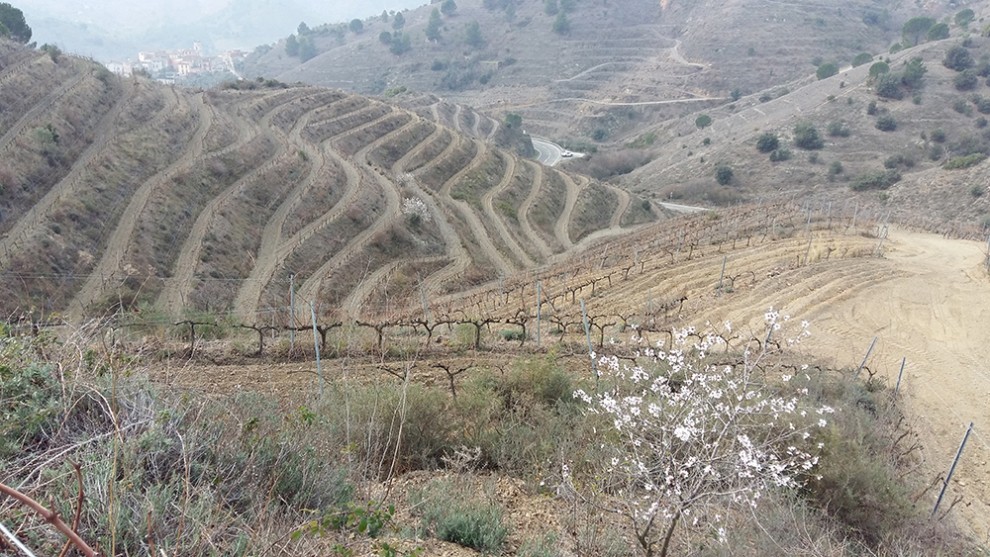 Imatge il·lustrativa