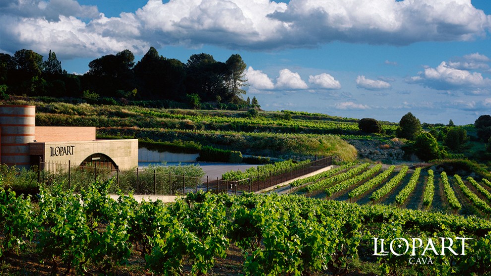 Imatge il·lustrativa