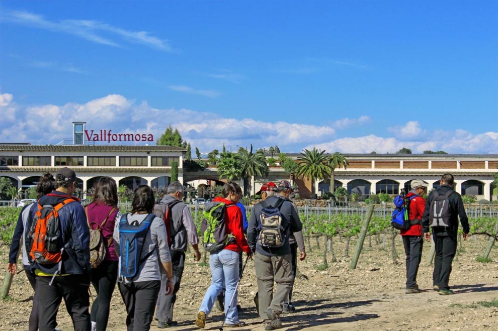 Imatge il·lustrativa