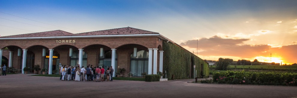 Imatge il·lustrativa