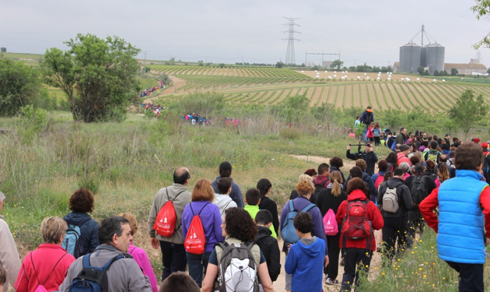 Imatge il·lustrativa