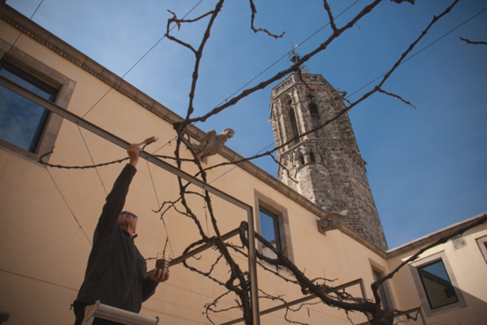 Imatge il·lustrativa