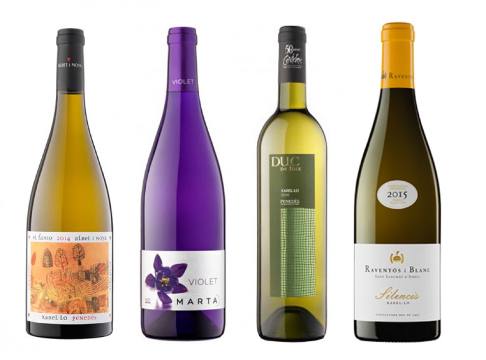 Imatge il·lustrativa