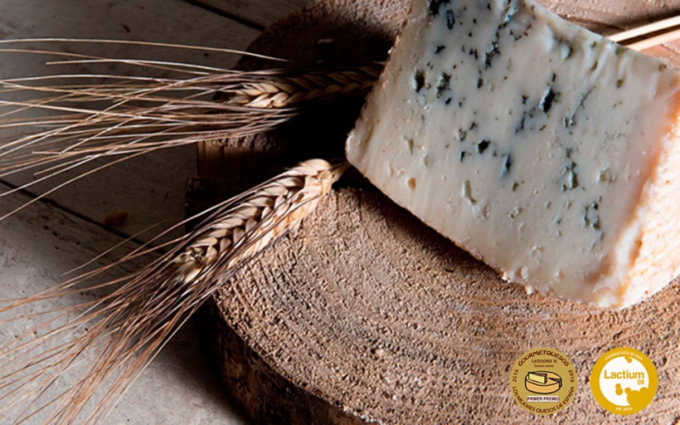 Imatge il·lustrativa