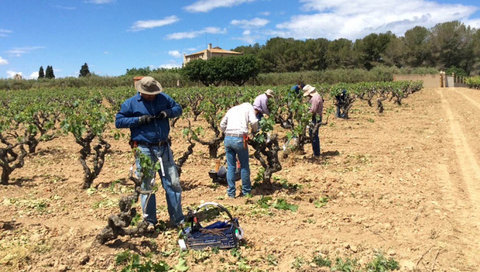 Imatge il·lustrativa