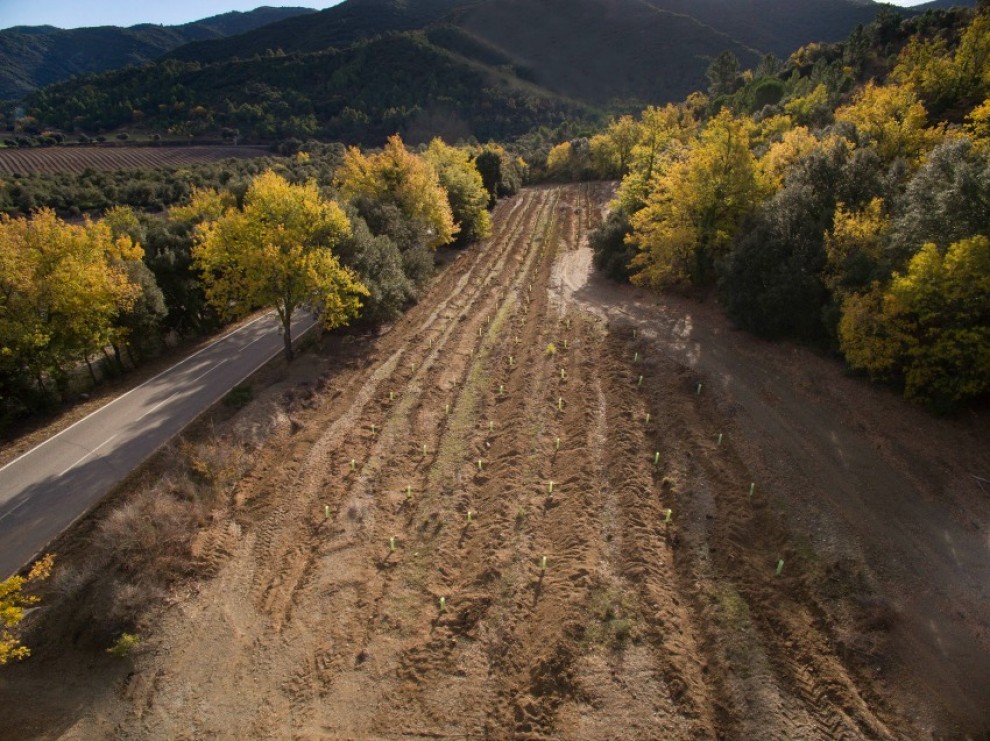 Imatge il·lustrativa