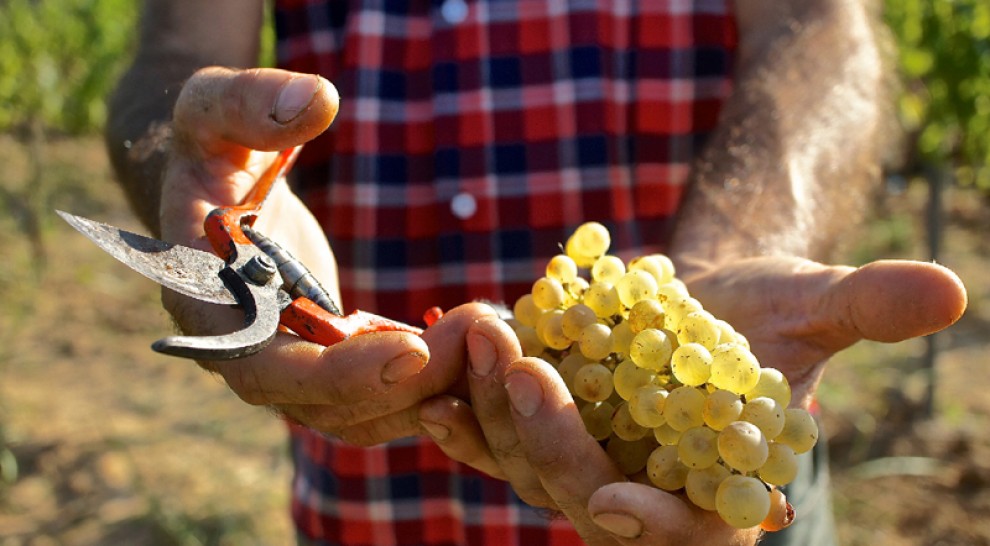 Imatge il·lustrativa