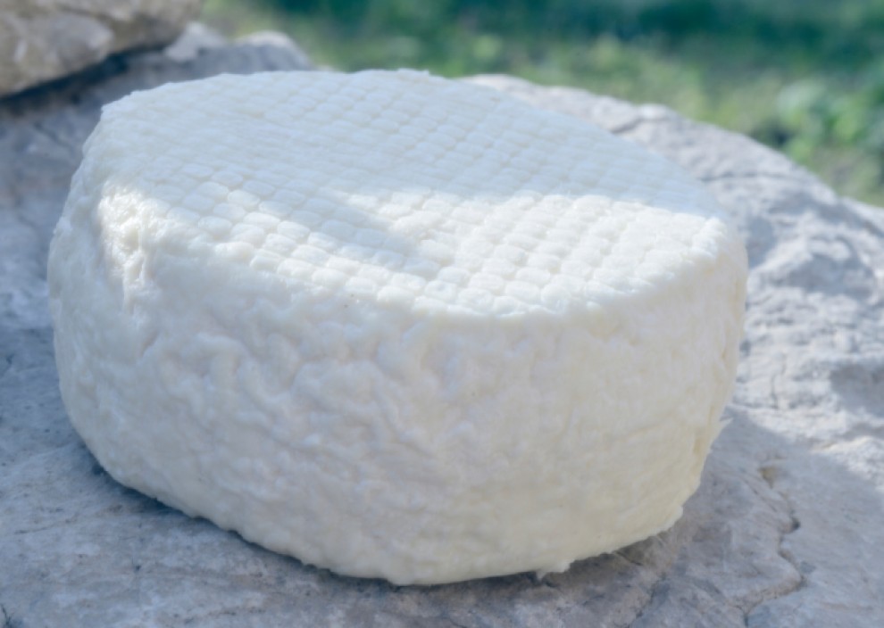 Imatge il·lustrativa