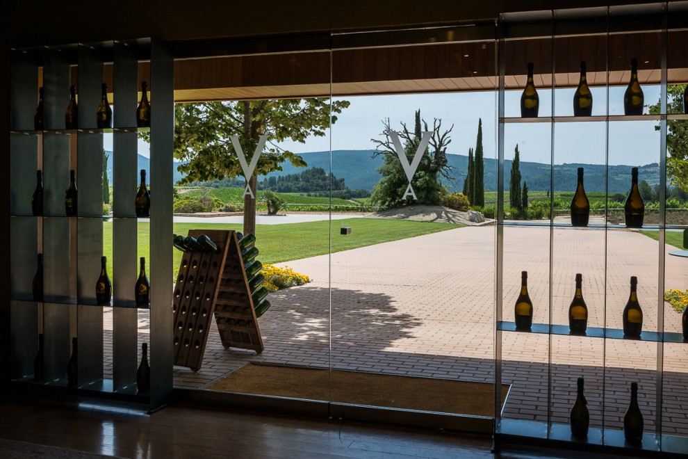 Les caves Vilarnau de Gonzalez Byass vinifiquen amb raïms ecològics i els seus productes són aptes per vegans