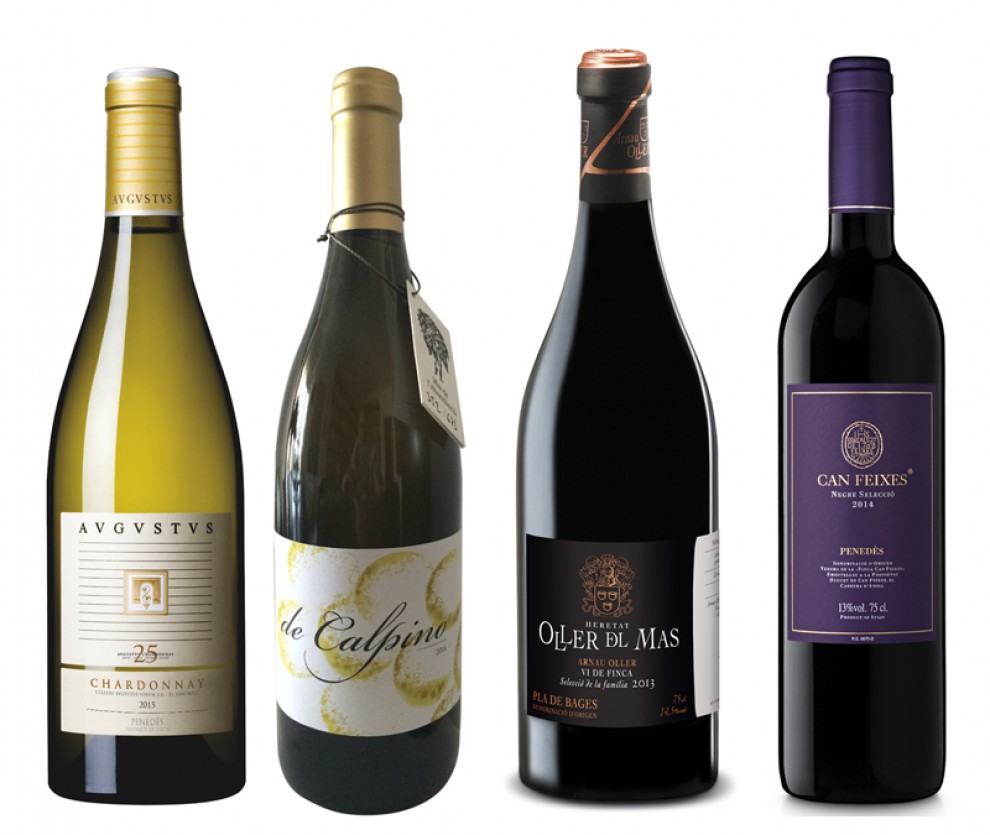 Imatge il·lustrativa