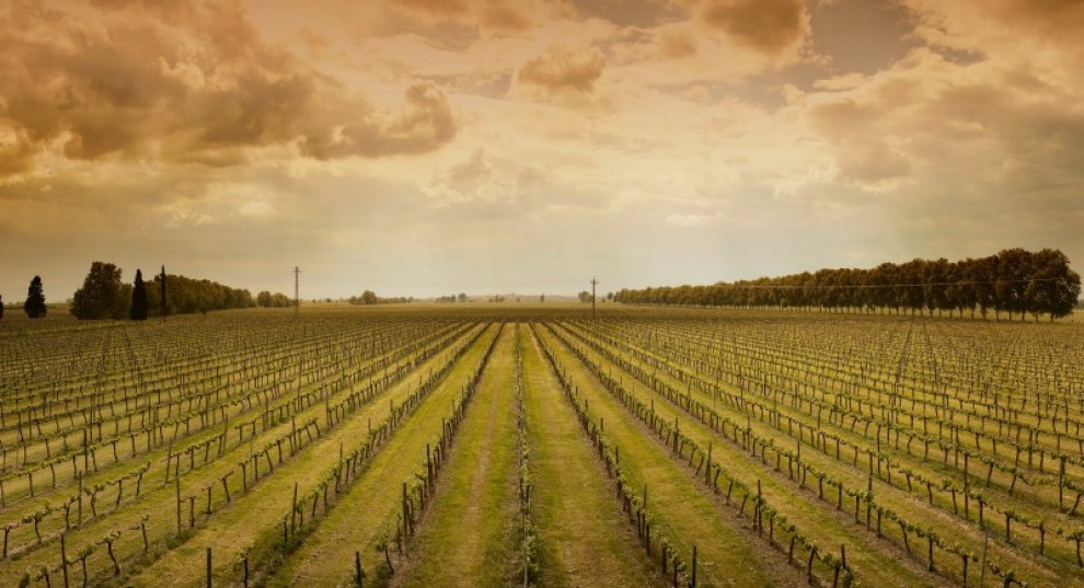 Imatge il·lustrativa