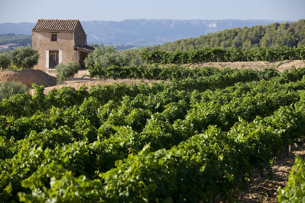 Imatge il·lustrativa