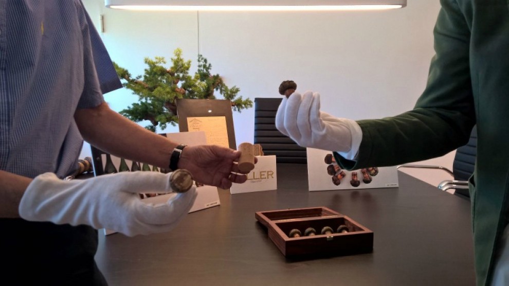 Imatge il·lustrativa