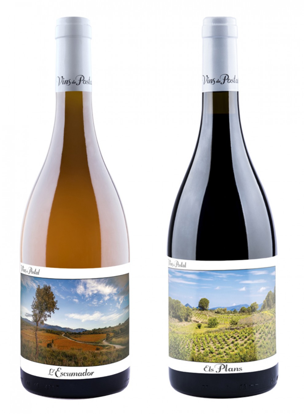 Imatge il·lustrativa