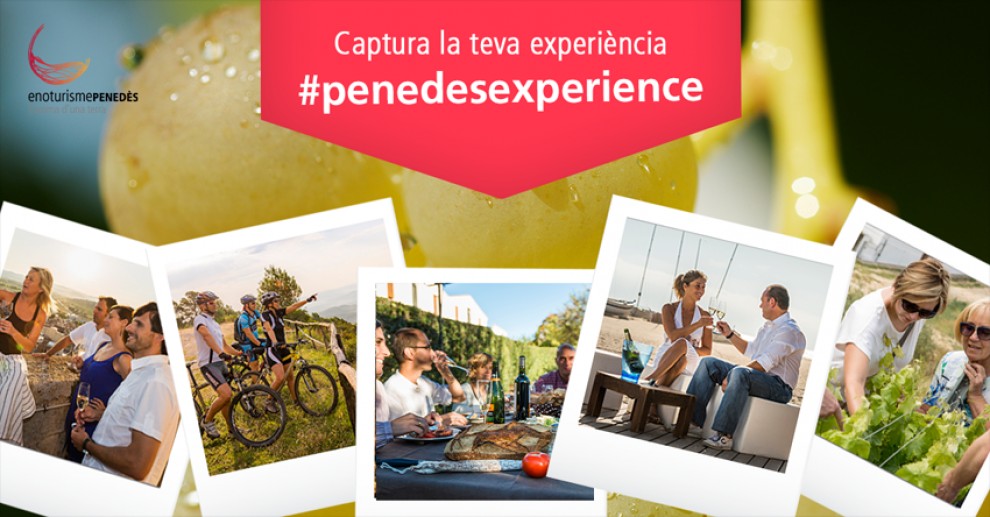 Imatge il·lustrativa