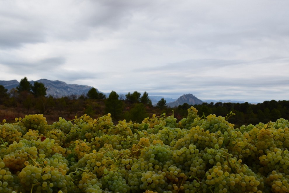 Imatge il·lustrativa