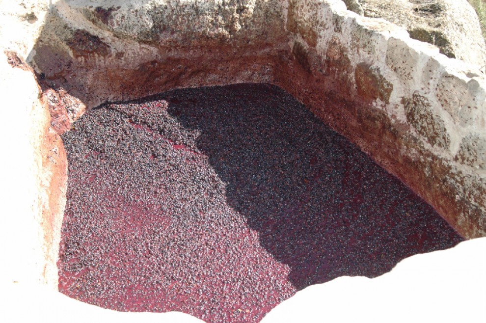 Imatge il·lustrativa