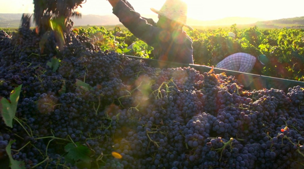 Imatge il·lustrativa