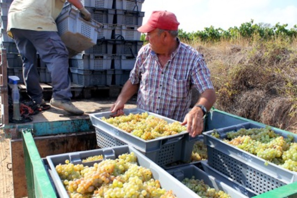 Imatge il·lustrativa