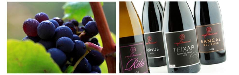 Imatge il·lustrativa