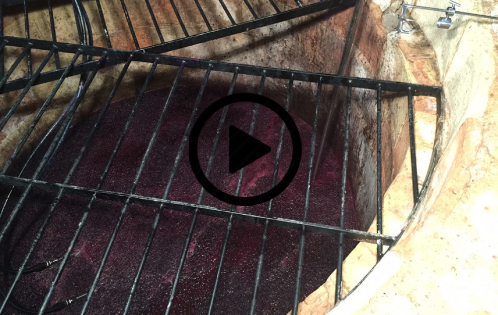 Imatge il·lustrativa