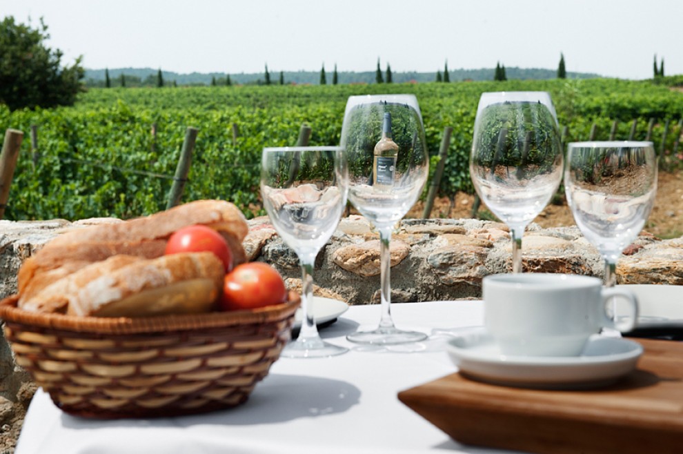 Enoturisme al celler La Vinyeta