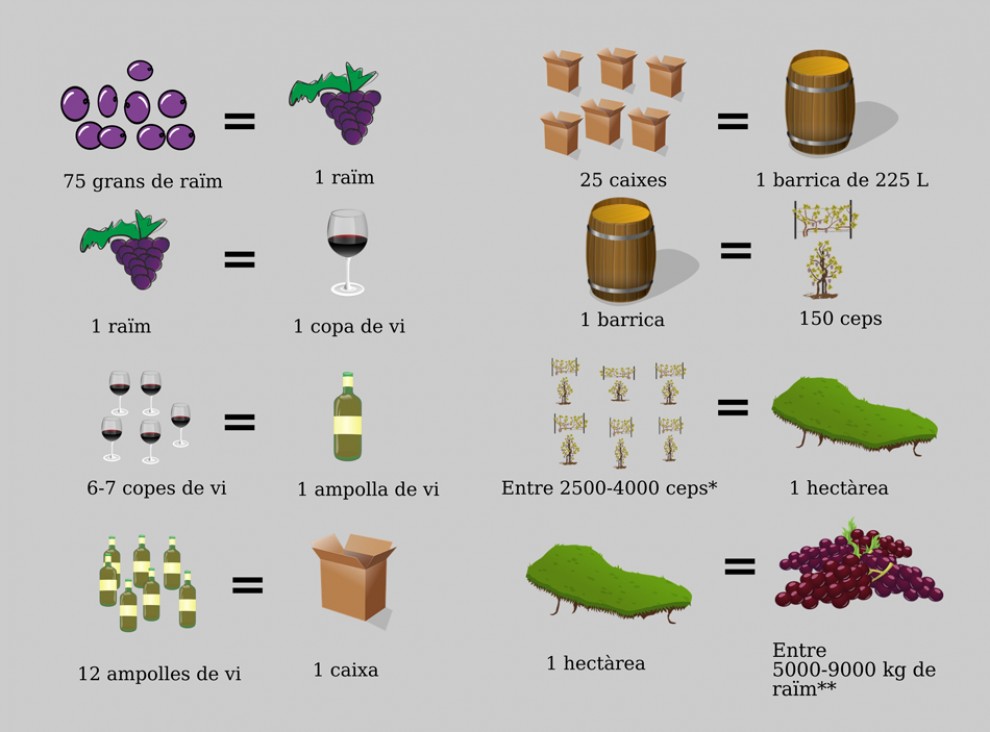 Imatge il·lustrativa