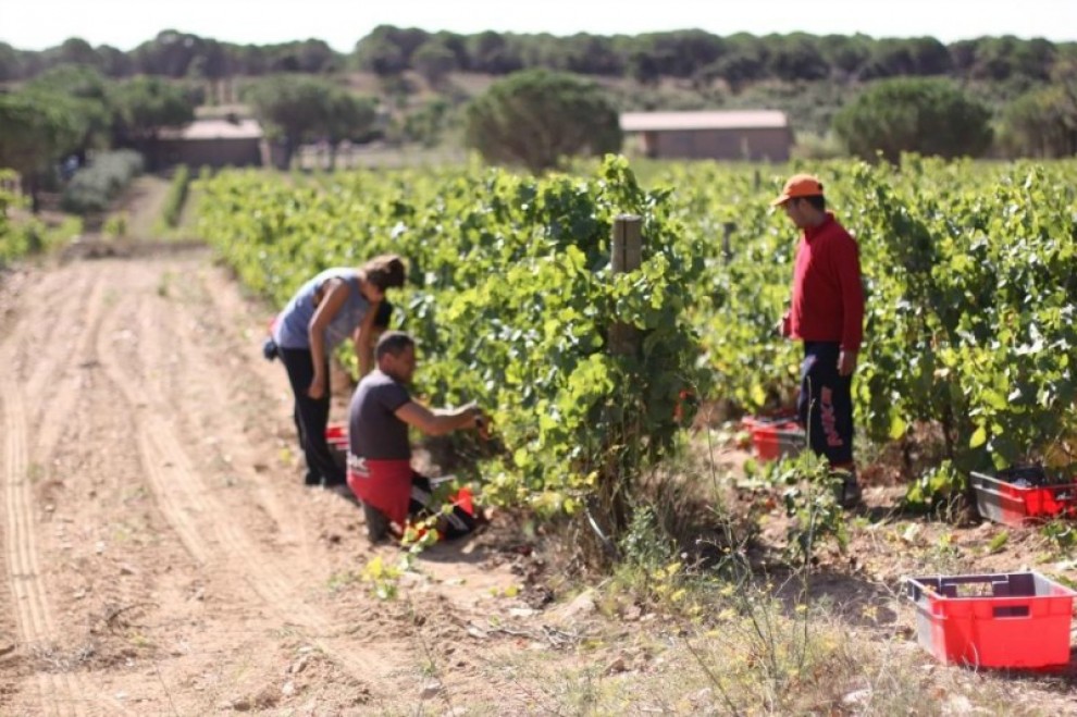 Imatge il·lustrativa